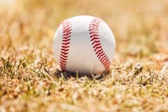 Baseball, sports and sport field on grass in nature on a outdoor training court. White ball on the .