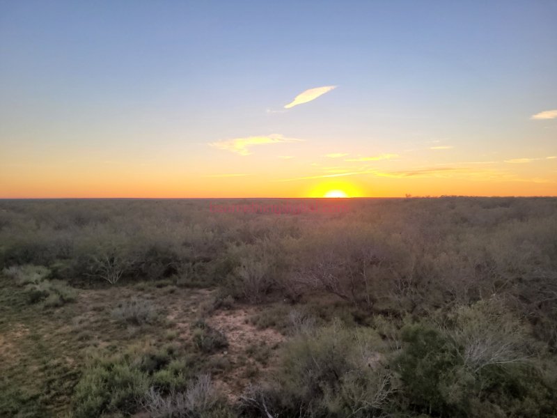 Texas sunset