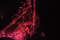Fire in Tree