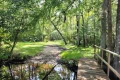 Dock in the woods