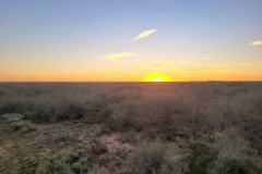 Texas sunset