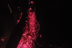 Fire in tree2