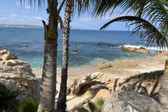 Palms and beach