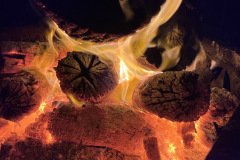 Logs on fire