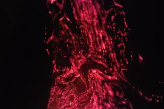 fire in center tree