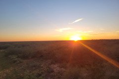 Texas sunset over brush