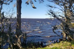 Windy river