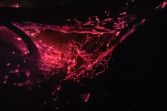 fire in tree4